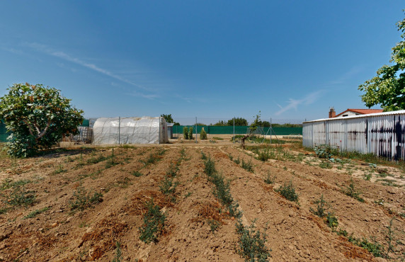 Venta - Fincas y solares - Tafalla - PR LA RECUEJA SP