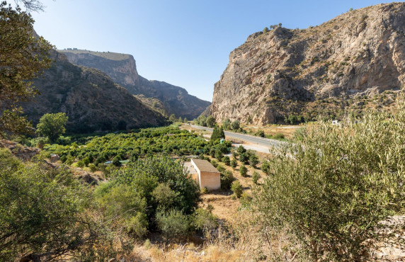 Venta - Casas o chalets - Vélez de Benaudalla