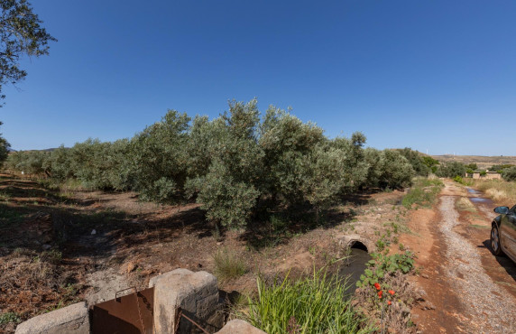 Venta - Fincas y solares - Cozvíjar - de Cozvijar