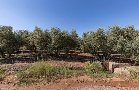 Venta - Fincas y solares - Cozvíjar - de Cozvijar