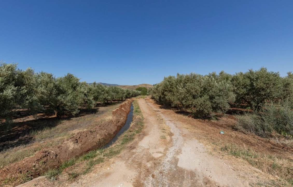 Venta - Fincas y solares - Cozvíjar - de Cozvijar