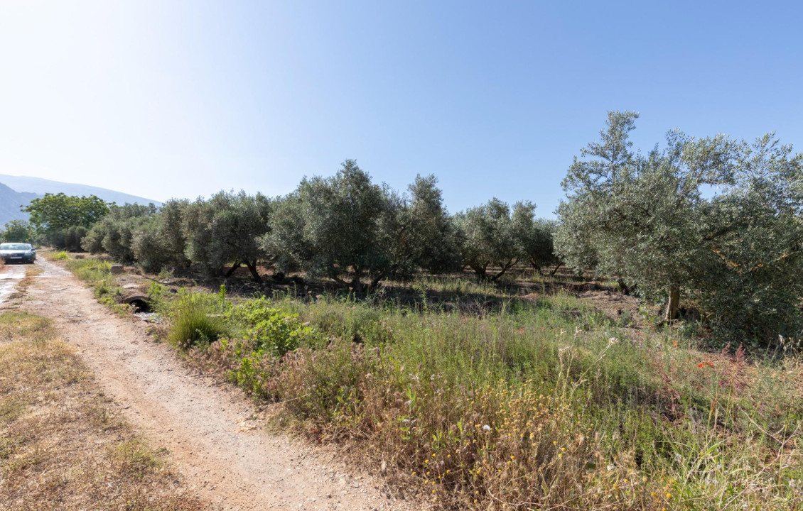 Venta - Fincas y solares - Cozvíjar - de Cozvijar