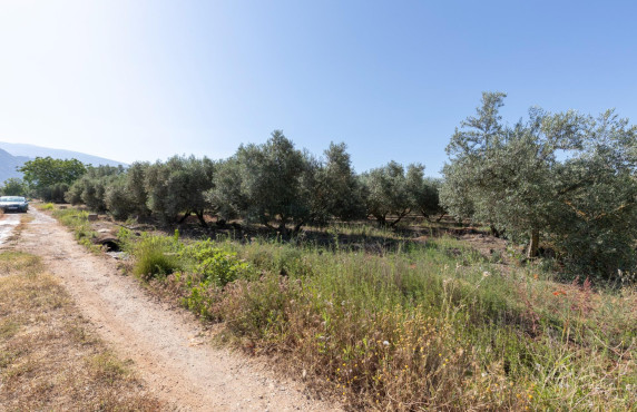 Venta - Fincas y solares - Cozvíjar - de Cozvijar