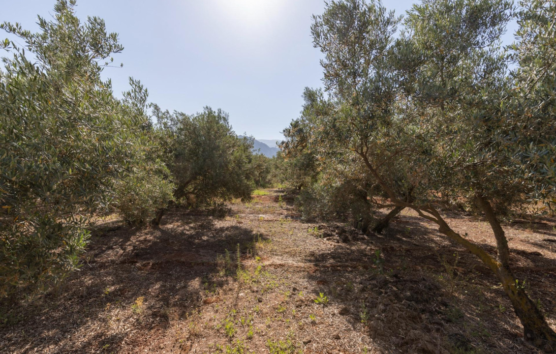 Venta - Fincas y solares - Cozvíjar - de Cozvijar