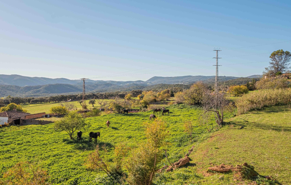 For Sale - Casas o chalets - Cañaveral de León - Calle de Huelva