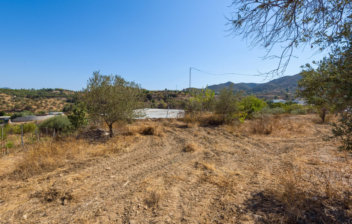 Venta - Fincas y solares - Cártama - Polígono 13 Parcela 219