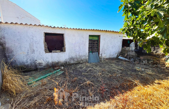 For Sale - Casas o chalets - Castilblanco de los Arroyos - SAN ROQUE