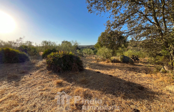 For Sale - Fincas y solares - Guillena - Polígono 2 Parcela 130 PIEDRA DEL TORO. GUILLENA