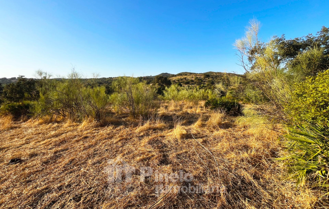 For Sale - Fincas y solares - Guillena - Polígono 2 Parcela 130 PIEDRA DEL TORO. GUILLENA