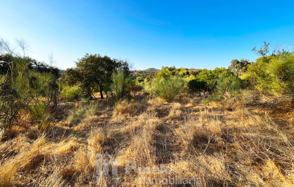 For Sale - Fincas y solares - Guillena - Polígono 2 Parcela 130 PIEDRA DEL TORO. GUILLENA