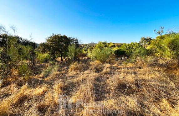 For Sale - Fincas y solares - Guillena - Polígono 2 Parcela 130 PIEDRA DEL TORO. GUILLENA