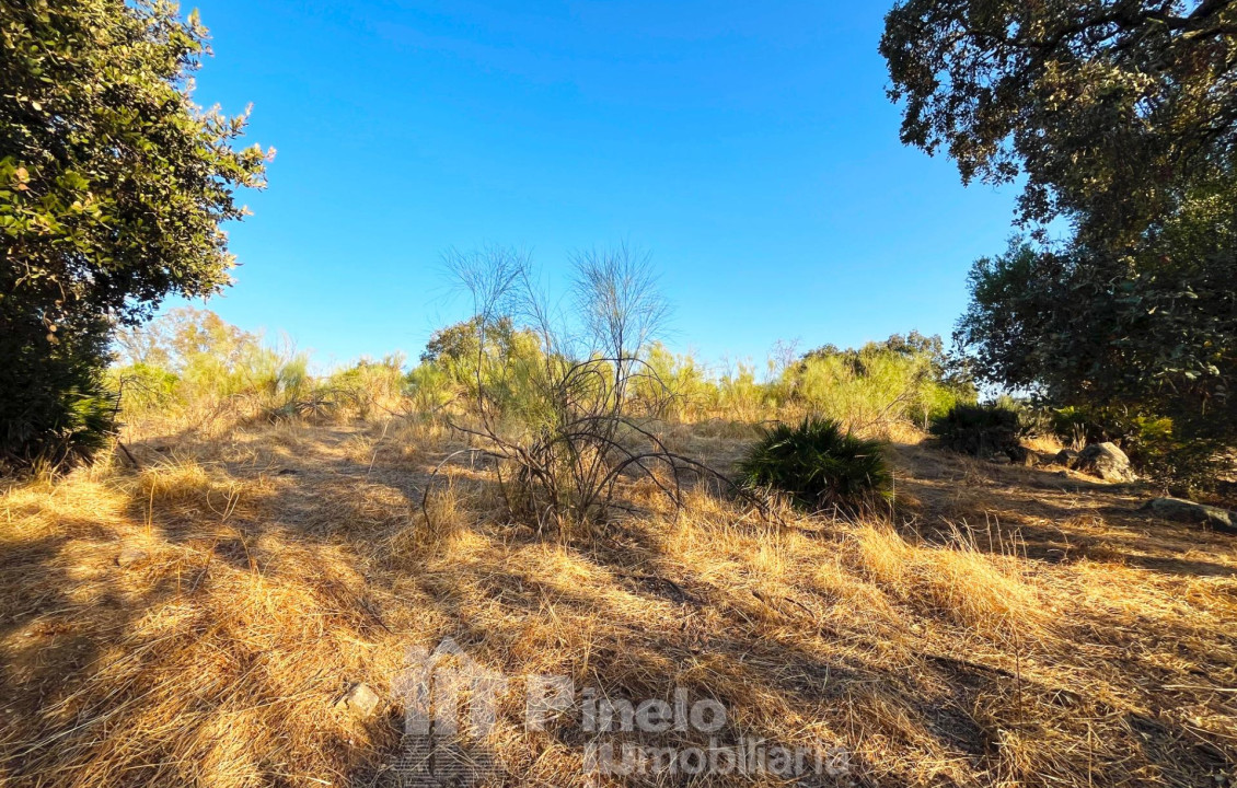 For Sale - Fincas y solares - Guillena - Polígono 2 Parcela 130 PIEDRA DEL TORO. GUILLENA