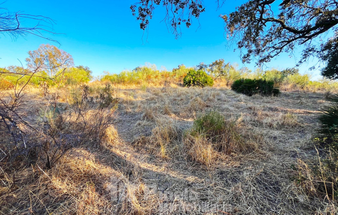 For Sale - Fincas y solares - Guillena - Polígono 2 Parcela 130 PIEDRA DEL TORO. GUILLENA