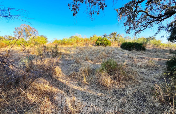 For Sale - Fincas y solares - Guillena - Polígono 2 Parcela 130 PIEDRA DEL TORO. GUILLENA