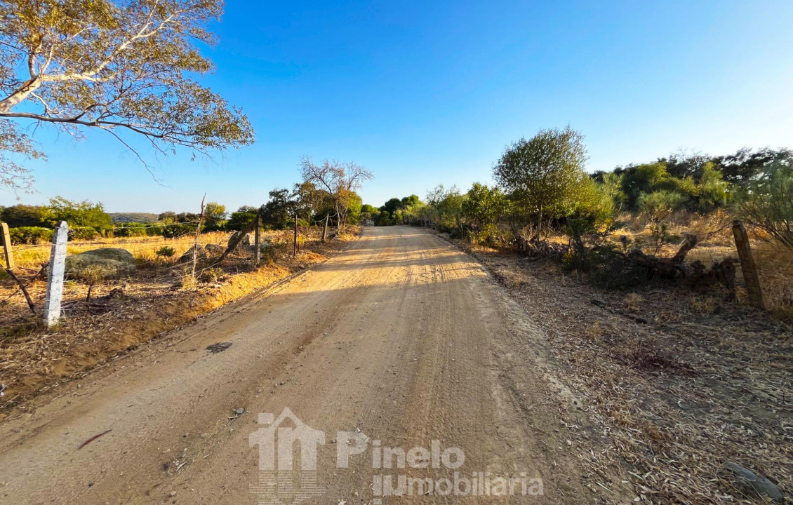 For Sale - Fincas y solares - Guillena - Polígono 2 Parcela 130 PIEDRA DEL TORO. GUILLENA