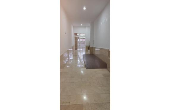 Long Rental Period - Pisos - Elche - c/fontanar