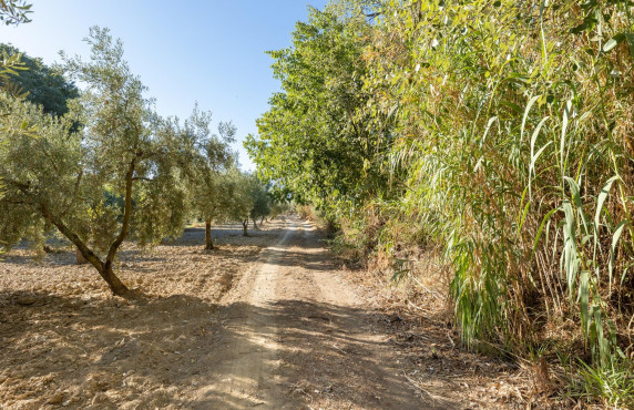 For Sale - Fincas y solares - Gójar - Río Bermejo