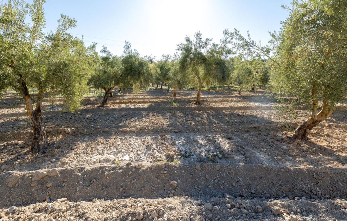 For Sale - Fincas y solares - Gójar - Río Bermejo