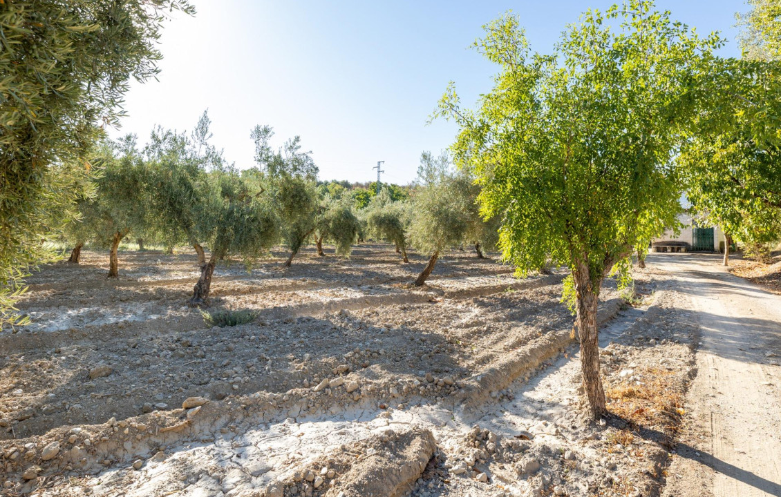 For Sale - Fincas y solares - Gójar - Río Bermejo