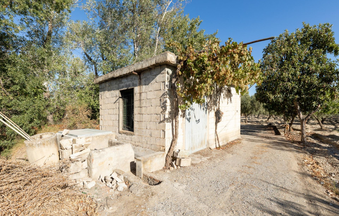 For Sale - Fincas y solares - Gójar - Río Bermejo