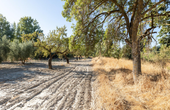 For Sale - Fincas y solares - Gójar - Río Bermejo