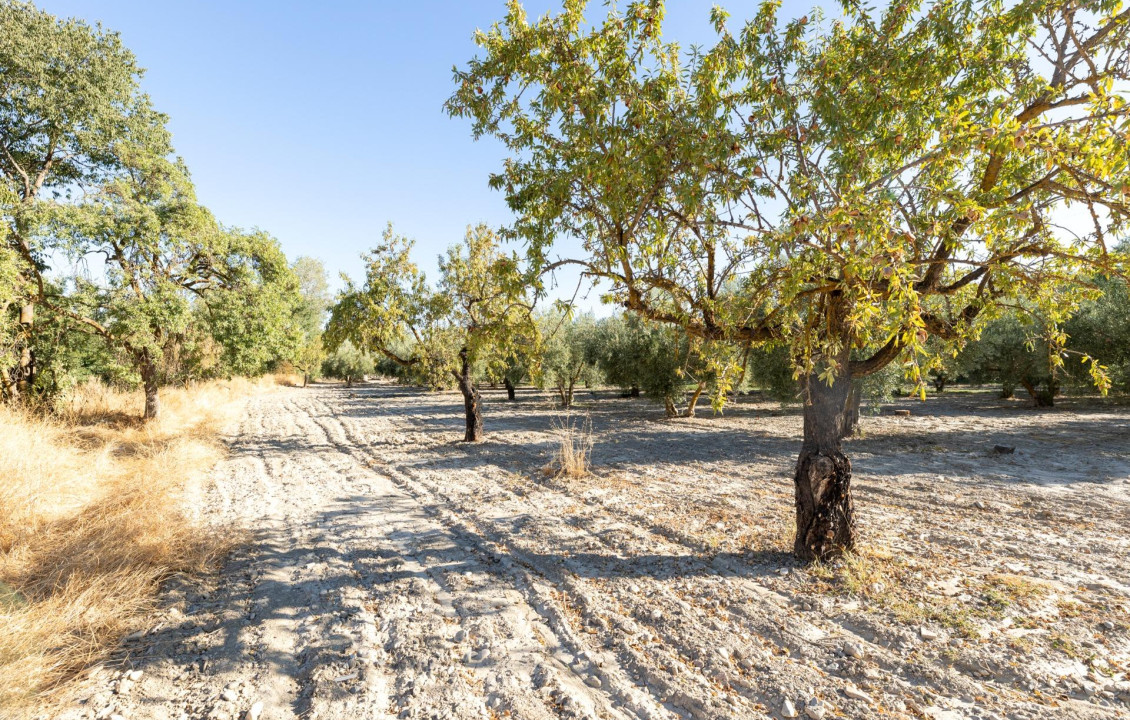 For Sale - Fincas y solares - Gójar - Río Bermejo