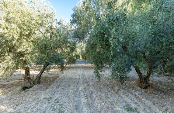 For Sale - Fincas y solares - Gójar - Río Bermejo