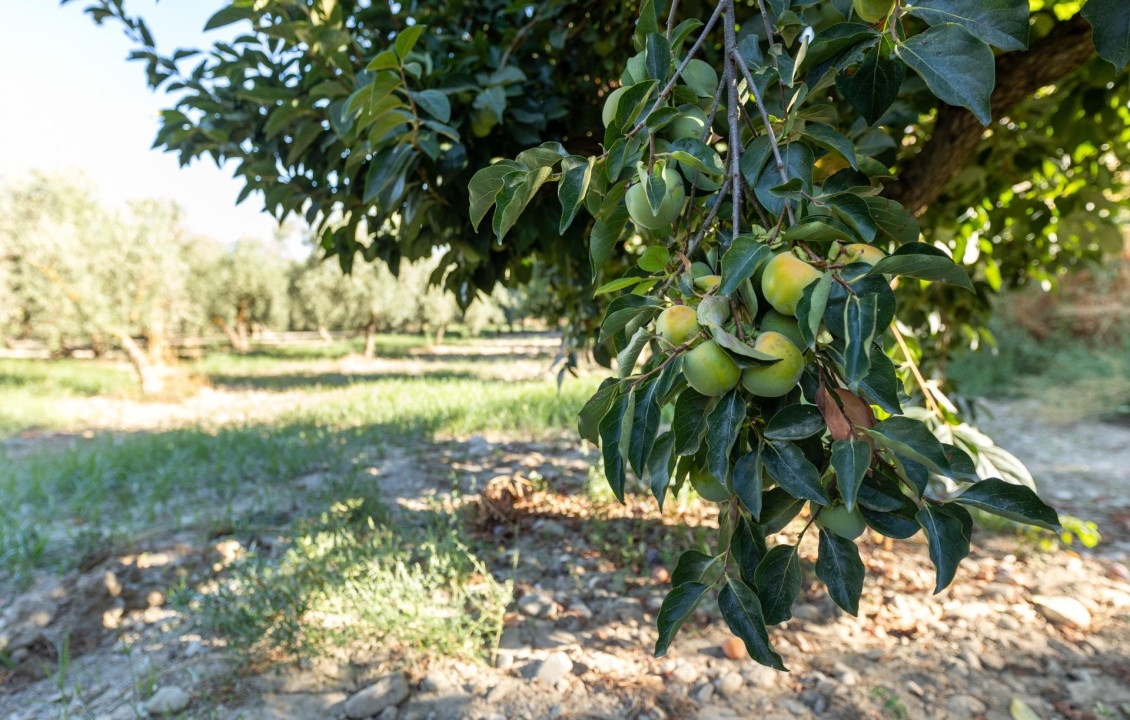 For Sale - Fincas y solares - Gójar - Río Bermejo