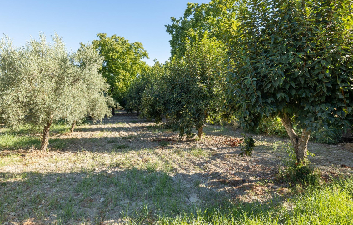 For Sale - Fincas y solares - Gójar - Río Bermejo