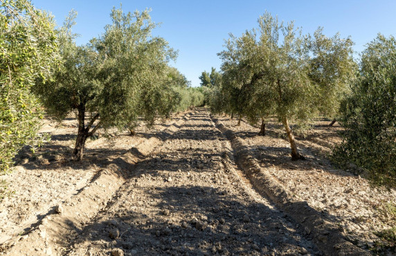 For Sale - Fincas y solares - Gójar - Río Bermejo