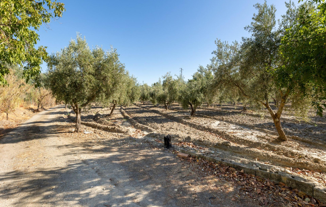 For Sale - Fincas y solares - Gójar - Río Bermejo