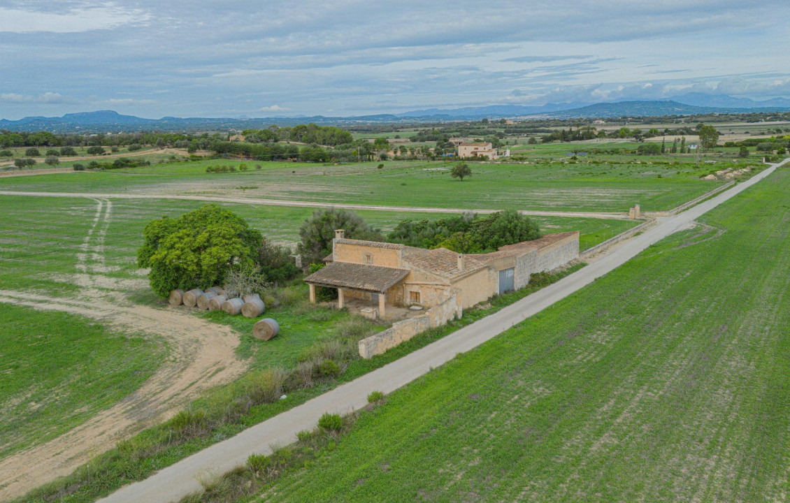 For Sale - Fincas y solares - Manacor - Polígono 24 Parcela 944 FIGUERA. MANACOR (ILLES B