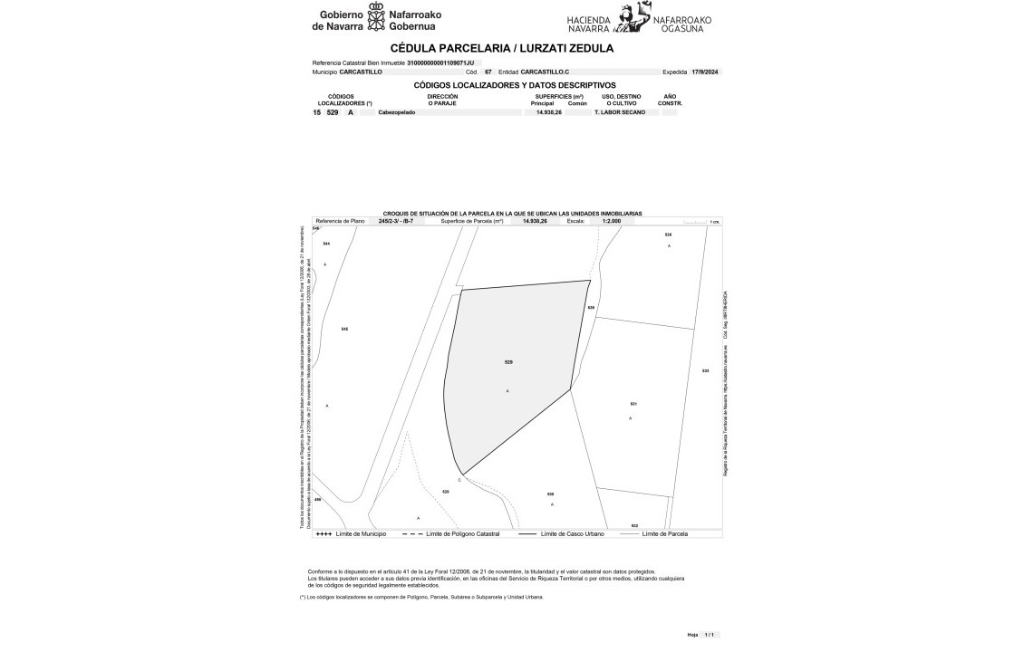 For Sale - Fincas y solares - Carcastillo - PARAJE PLAMENOR