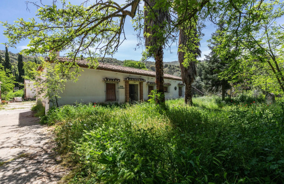 Venta - Fincas y solares - Dúdar - Aguas Blancas