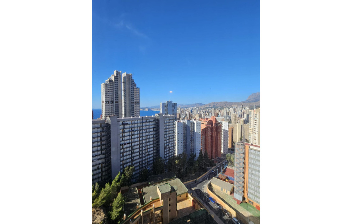 For Sale - Pisos - Benidorm - VIENA