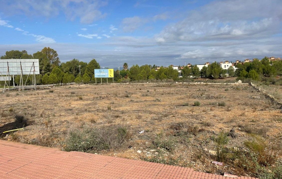 For Sale - Fincas y solares - Molina de Segura - LOS ACEBUCHES (ALCAYNA)