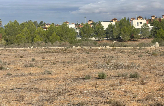 For Sale - Fincas y solares - Molina de Segura - LOS ACEBUCHES (ALCAYNA)