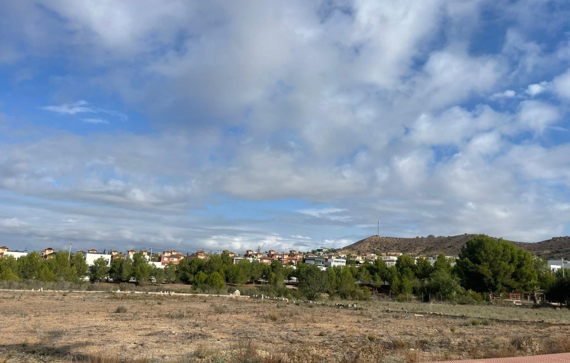 For Sale - Fincas y solares - Molina de Segura - LOS ACEBUCHES (ALCAYNA)