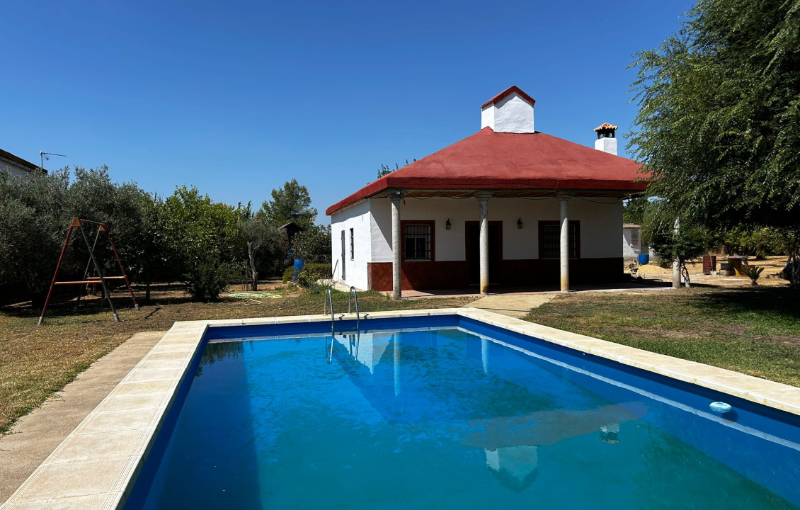 For Sale - Casas o chalets - Utrera - C. Mijo, 31