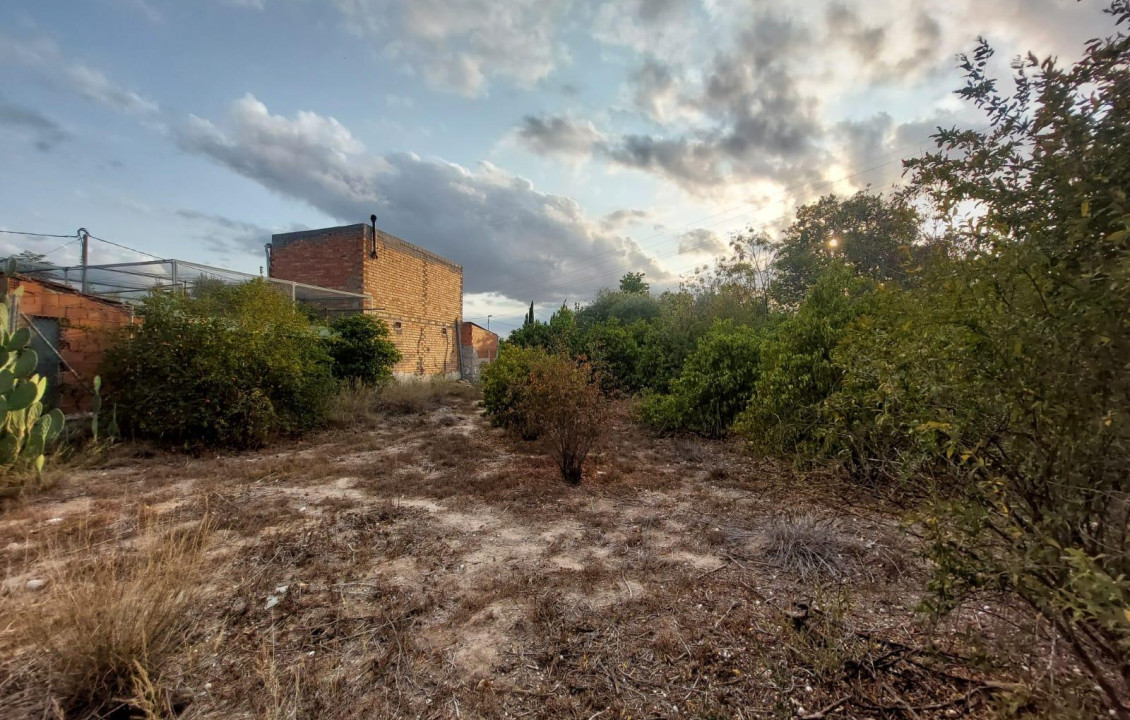 Venta - Casas o chalets - Puebla de Soto - Camino de las Palmeras