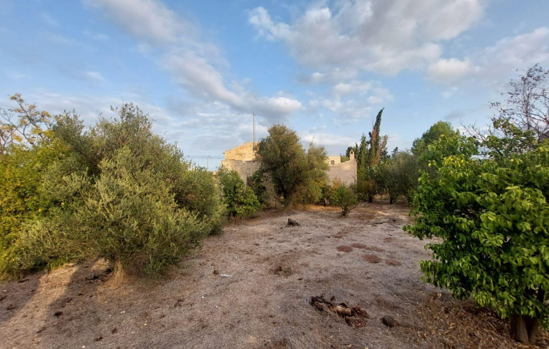 Venta - Casas o chalets - Puebla de Soto - Camino de las Palmeras