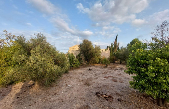 Venta - Casas o chalets - Puebla de Soto - Camino de las Palmeras