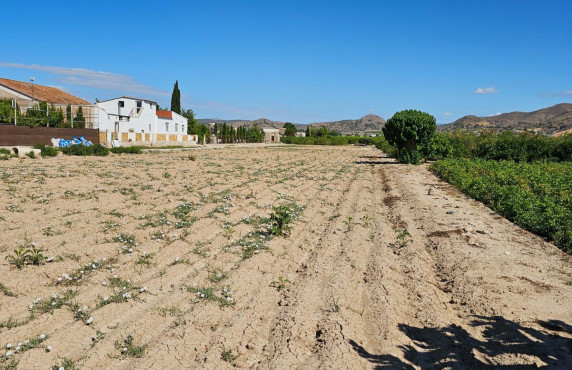 Venta - Fincas y solares - El Esparragal - Pitarque