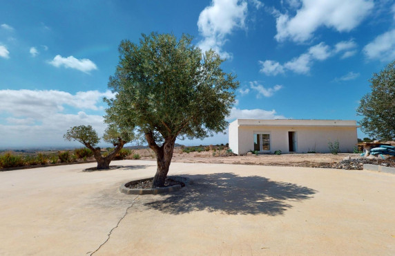 Venta - Fincas y solares - Murcia - de los Brianes