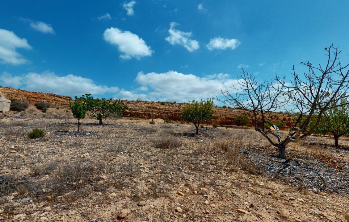 Venta - Fincas y solares - Murcia - de los Brianes