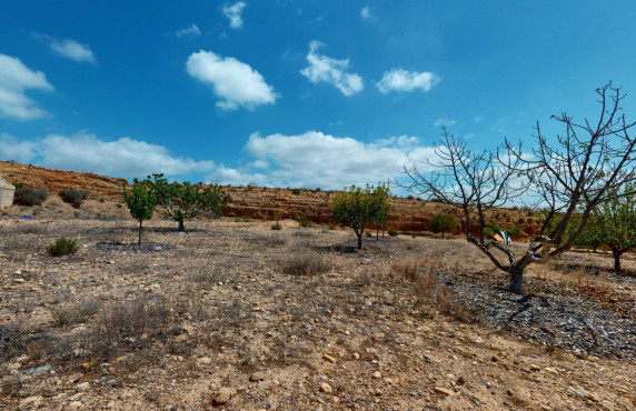 Venta - Fincas y solares - Murcia - de los Brianes