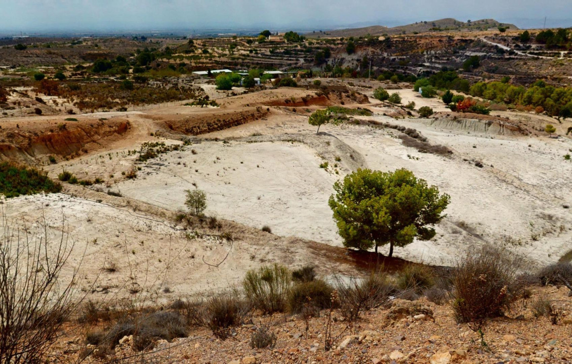 Venta - Fincas y solares - Murcia - de los Brianes