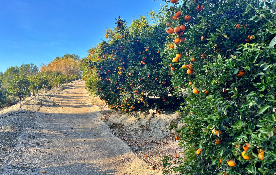 Venta - Fincas y solares - Barxeta - POLIGONO 22