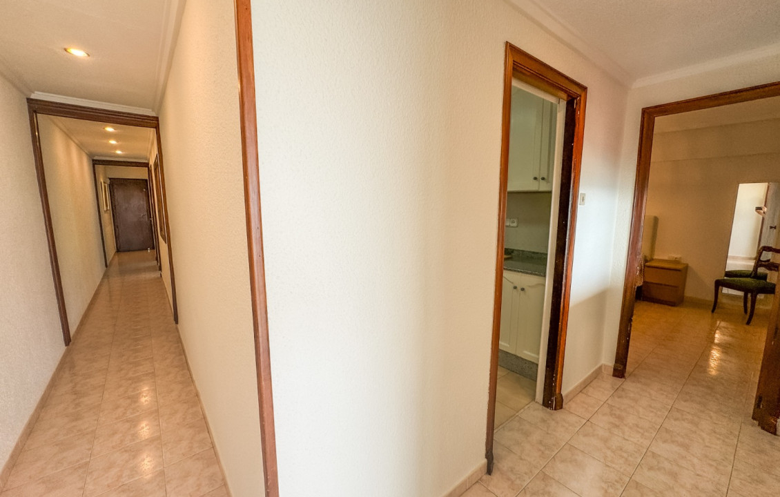 Seasonal Rental - Apartment - Santa Pola - Playa Levante