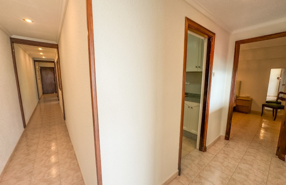 Alquiler Larga Estancia - Apartamento - Santa Pola - Playa Levante